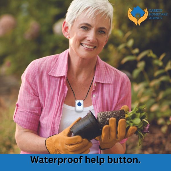 CareCo HomeCare Agency Home Care, Private Duty Home Care